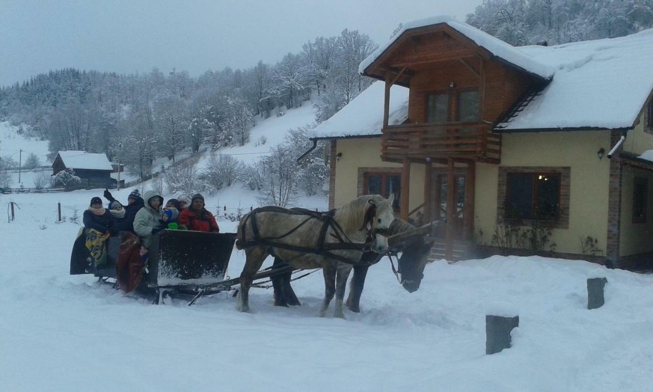 Katalin Kulcsoshaz Hotel Baile Chirui Exterior photo